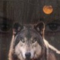 she-wolf