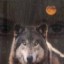 she-wolf